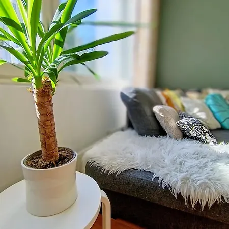 Private Sauna, Balcony And Location In Tampere! *